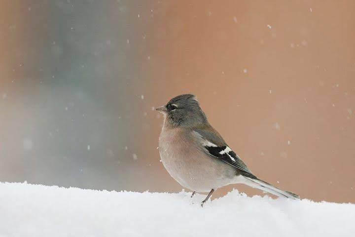 Voyage Espagne Portugal Maroc photographie