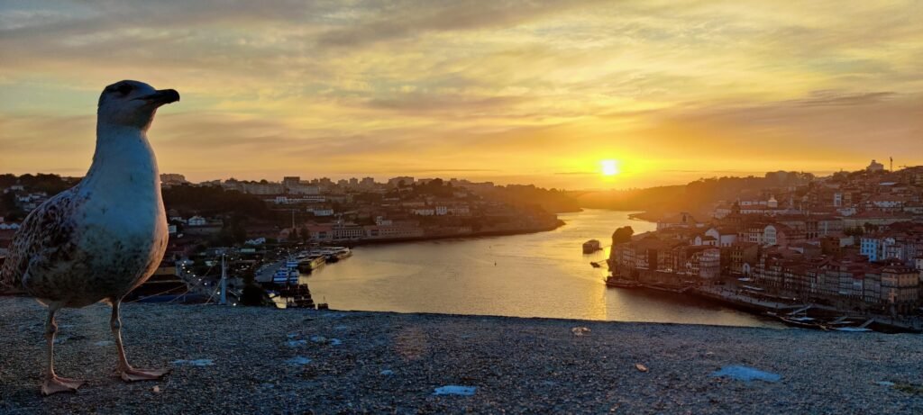 Vue sur le détroit de Gibraltar depuis le ferry Tarifa-Tanger