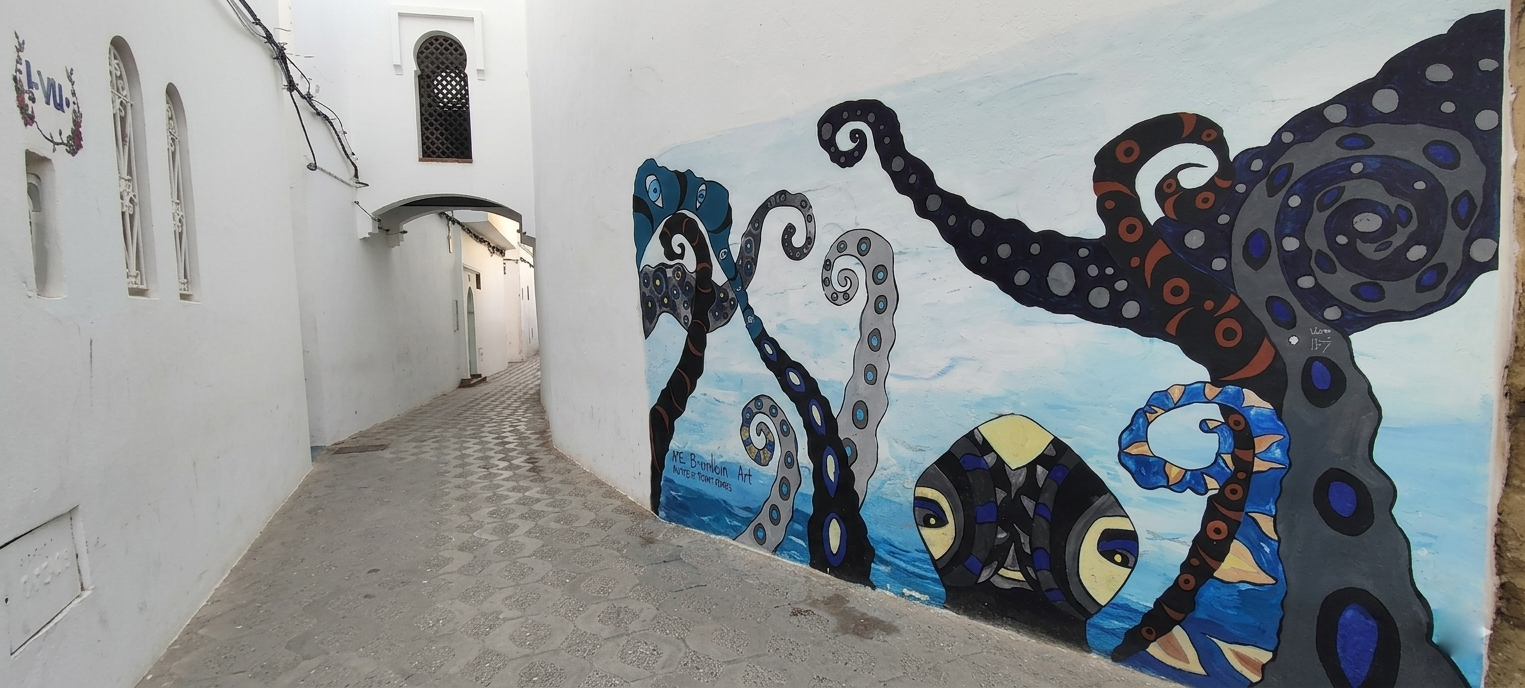 Visiter Asilah - Ruelles blanches et murales de la médina